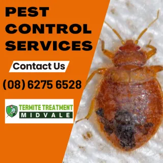La Nina has created perfect conditions for pests