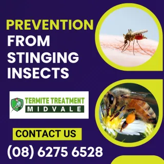 Getting Away from Stinging Insects