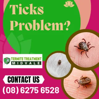Don’t get TICKED this summer
