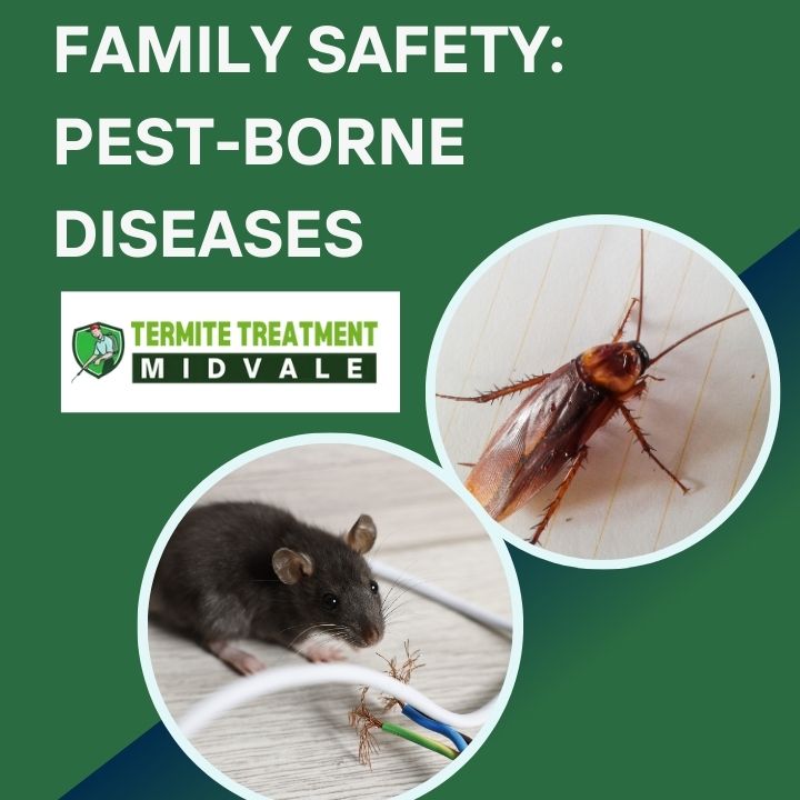Keeping Your Family Safe from Pest-Borne Diseases in Perth