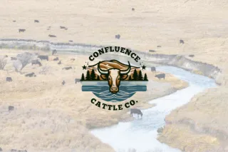 Confluence Cattle Company: From Frustration to $10,000+ in First Month Sales