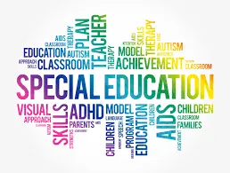 the collaborative IEP