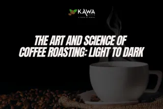 The Art and Science of Coffee Roasting: Light to Dark