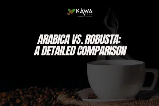 Arabica vs. Robusta: A Detailed Comparison