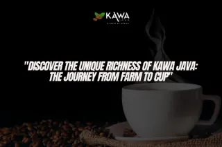 "Discover the Unique Richness of Kawa Java: The Journey from Farm to Cup"