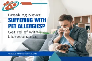 Bioresonance Therapy And Pet Allergies