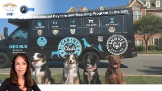 NoVA Dog Bus: Stress‑Free Dog Daycare for Northern VA Homeowners