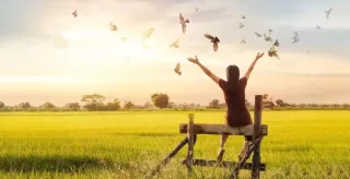 Finding Balance: The Love Story of De-Stress and Stress