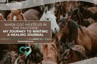 When God Meets Us in the Paddock: My Journey to Writing a Healing Journal