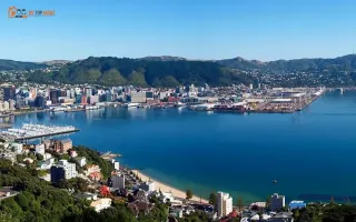 How to choose a real estate agent in Wellington (2026) - Sell smarter