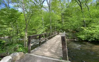 🌞 Woods, Wildlife, and Wow: Why Seidman Park is Pure Michigan at Its Best


