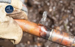 Burst Pipe Repair in Redmond WA | Fast & Reliable Service