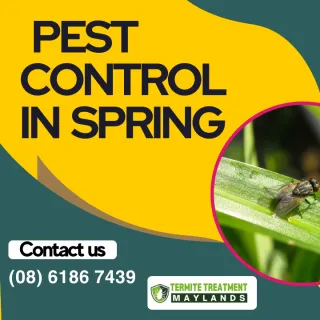 Spring Pest Control Tips