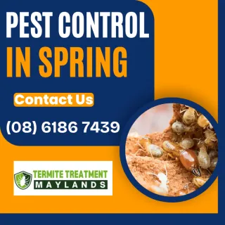 The Downside to Spring- Pests