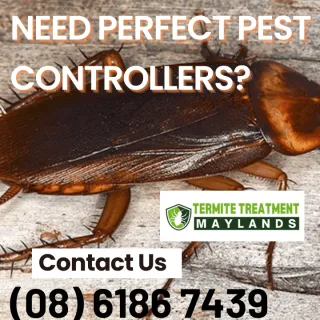 The Pest Controllers that don’t come back