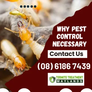 Is Pest Control Necessary?