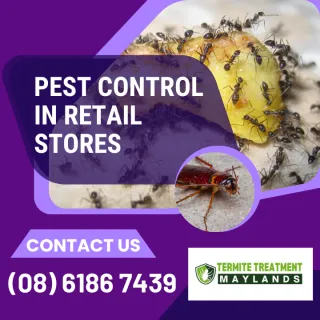 Pest Control In Retail Stores
