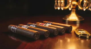 Navigating the World of Premium Cigars: A Novice's Essential Guide