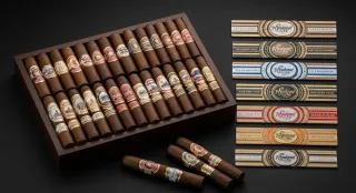 2025 Cigar Guide: Selection, Storage & Enjoyment