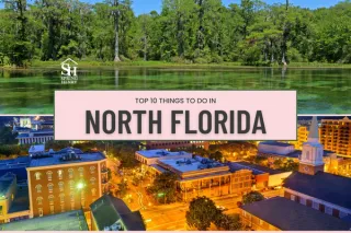 Top 10 Things to Do in North Florida