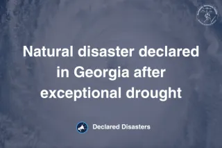 Natural disaster declared in Georgia after exceptional drought