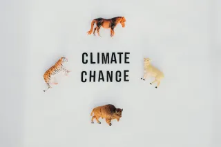 How Tech Companies Are Tackling Climate Change