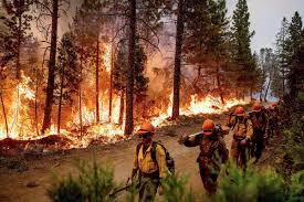 Resources Available to Help Businesses Rebuild After Wildfires