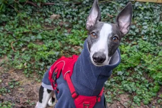 Throwing Away The Rule Book