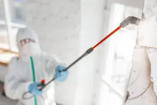 How Much Does a Professional Mold Inspection Cost in Brockton, MA?