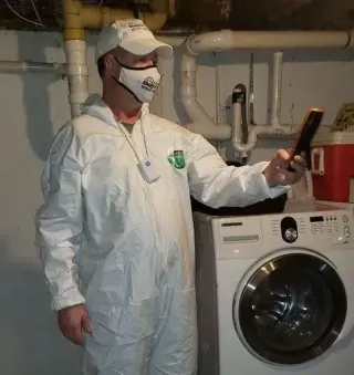 How Much Does a Professional Mold Inspection Cost in Brockton, MA?