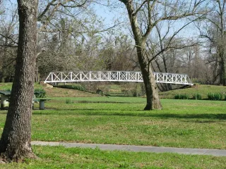 Trees, Trails, and Turtle Tales: A Day at Brechtel Park