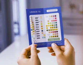 Urinalysis Interpretation: How to read a urine dipstick test