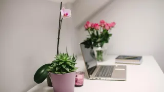 How To Grow Your Email List
