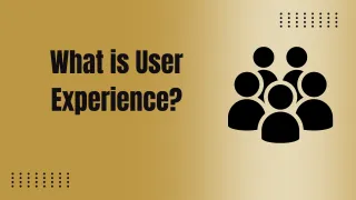 What is User Experience?