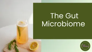3 Things you need to know about Your Gut