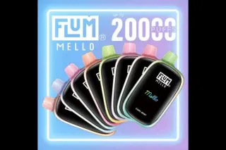 Trusted Smoke Shop in Seattle for Flum Vape Products