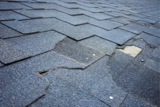 Common Roof Issues in New England and How to Spot Them Early