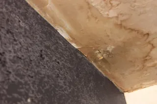 Understanding the Anatomy of Roof Leaks: Common Causes and Effective Solutions
