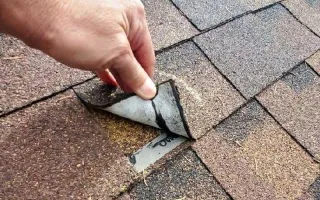 Where Can I Find Emergency Roof Repairs in New England?