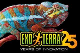 Leader depuis 25 ans dans l’élevage des reptiles