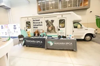 Why Your Pet Store Should Partner with a Local Shelter or Humane Society