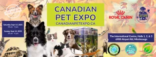 Why Pet Brands Are Embracing Both B2B and B2C Events — And Winning