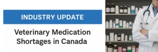 Veterinarians Across Canada Sound the Alarm Over Critical Medication Shortages