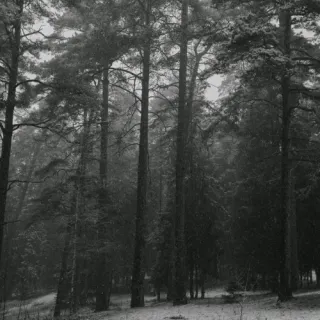 The Biggest Reason For Seasonal Depression