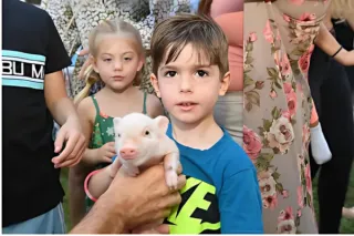 Church Events and Faith-Based Celebrations with Exotic Animal Entertainment