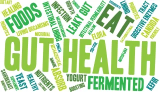 Gut Health: Improve Digestive Health Naturally