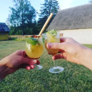 Kombucha videokeskkonna tutvustus