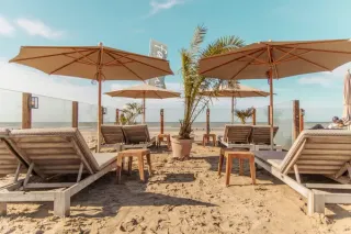 Aktivitäten in Zandvoort