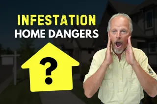 Rat-Infested Homes? Why Atlanta Buyers Need an Inspection