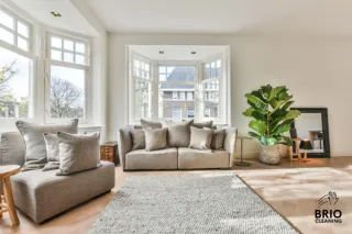 Healthy Home Tips: Essential Habits for Clean Living